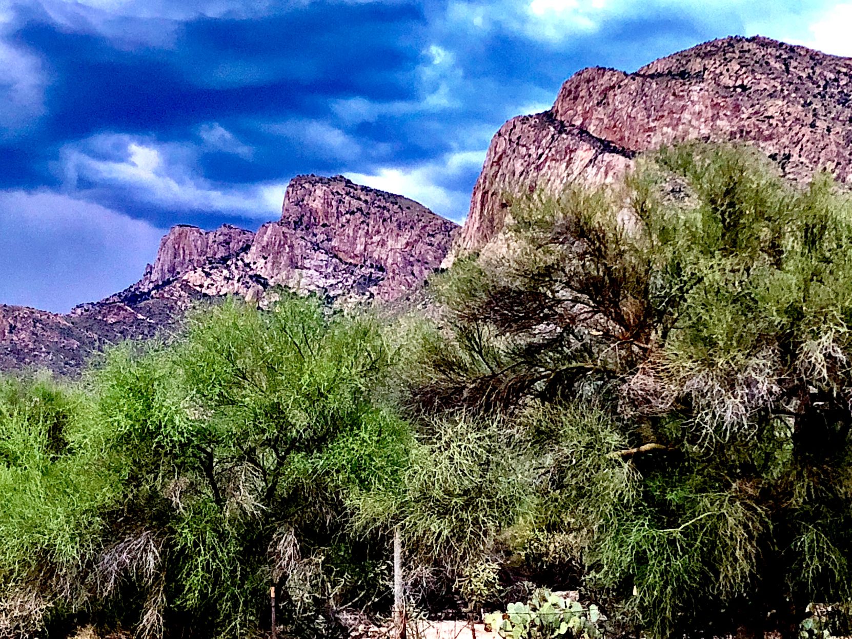 Pusch Ridge Oro Valley